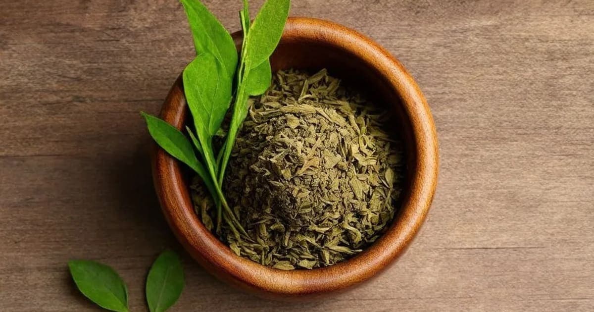 Samudra Phena — Ayurvedic Herb