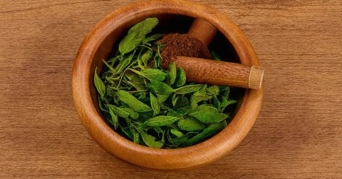 Kottamchukkadi Thailam — Ayurvedic Herb