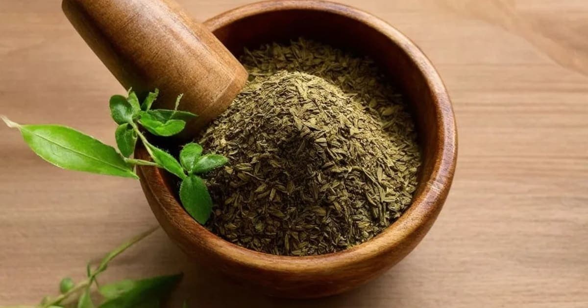 Panchamrita Parpati — Ayurvedic Herb