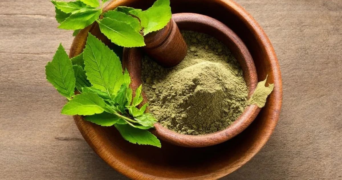 কুমড়ো অবলেহ — আয়ুর্বেদিক ভেষজ