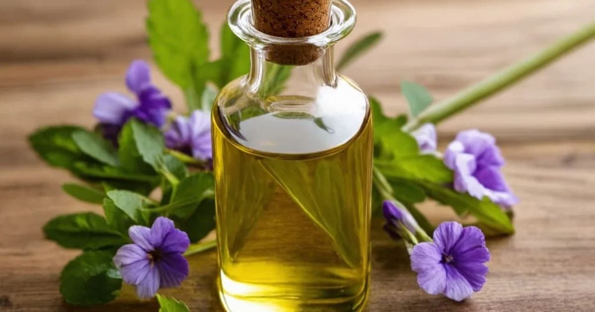 जैतून तेल (ऑलिव ऑयल) — आयुर्वेदिक जड़ी-बूटी