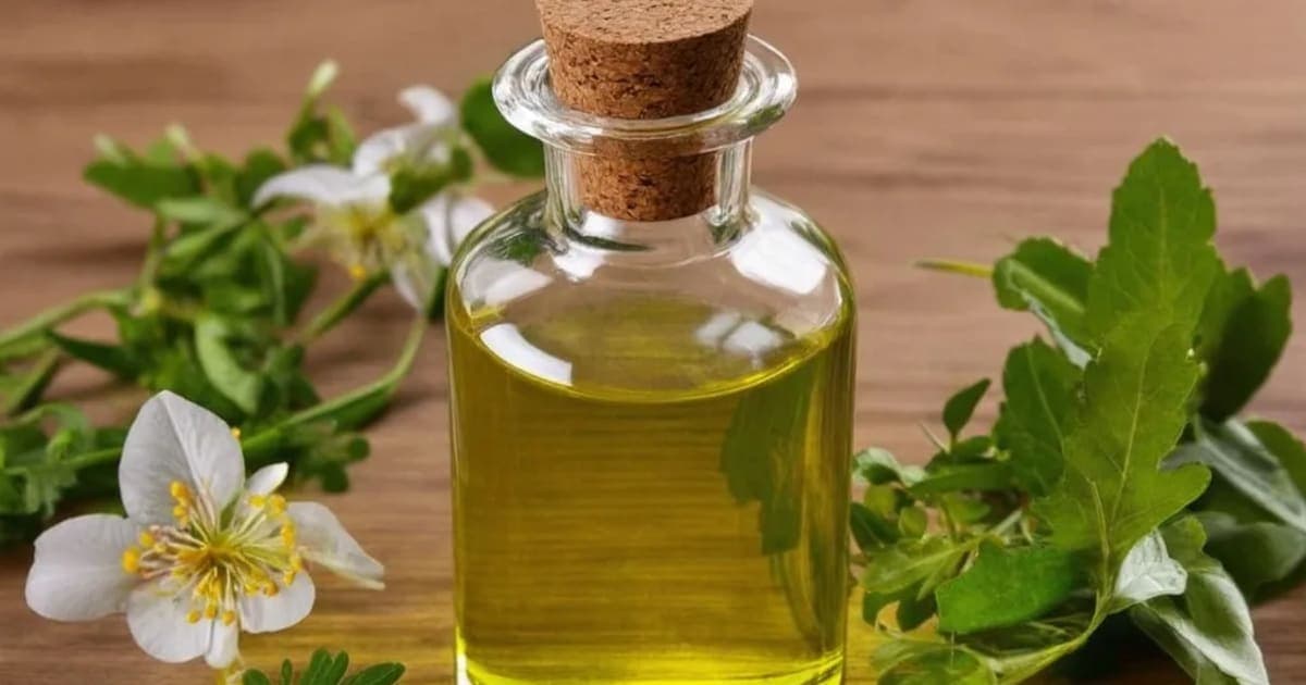 ਅਨੂ ਤੇਲ — ਆਯੁਰਵੈਦਿਕ ਜੜੀ-ਬੂਟੀ