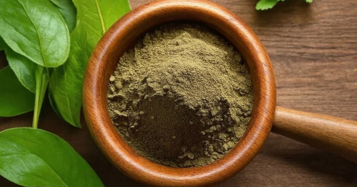 छत्रक (मशरूम) — आयुर्वेदिक जड़ी-बूटी