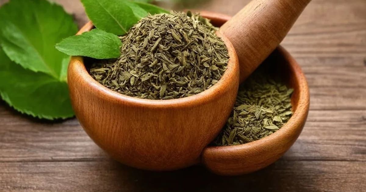 माणिक्य पिष्टी — आयुर्वेदिक वनस्पती