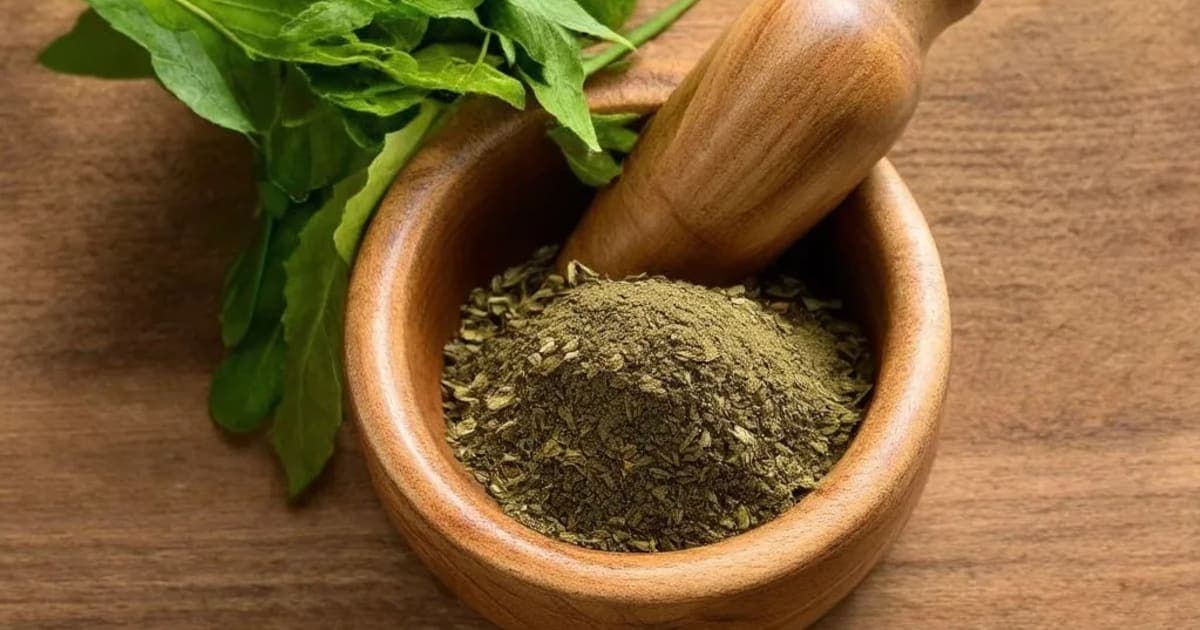 રોહિષાના ફાયદા — આયુર્વેદિક જડીબુટ્ટી