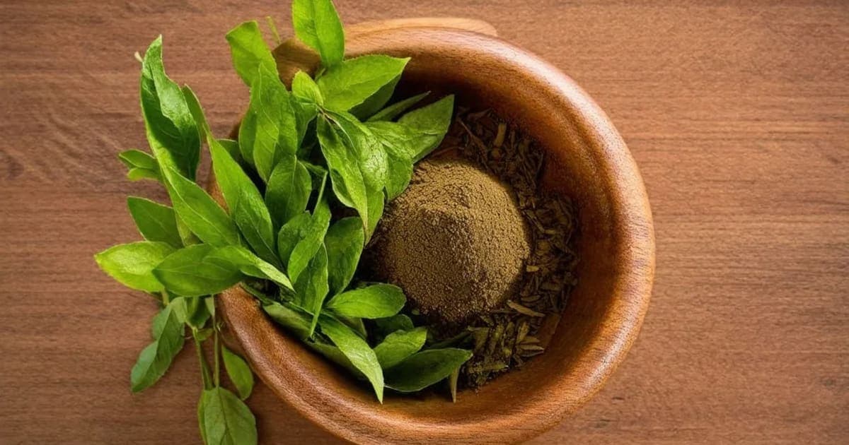 Ksharasutra — Ayurvedic Herb