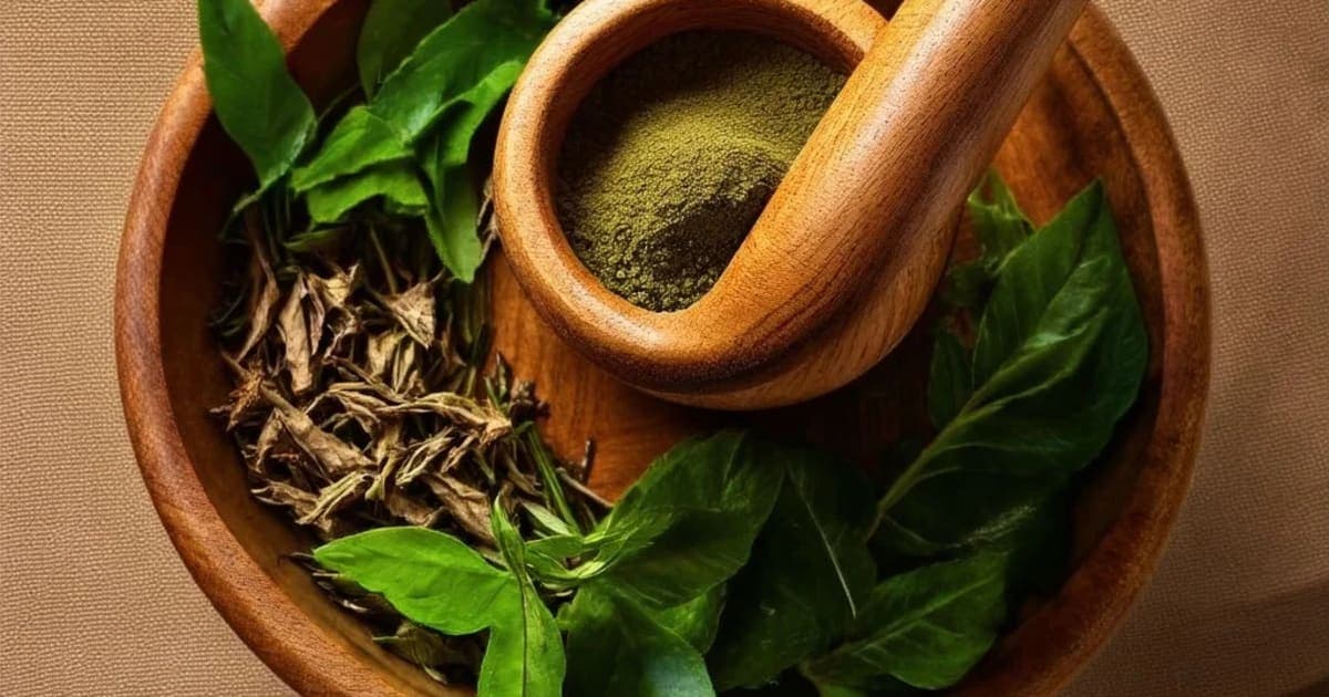 Shana (Crotalaria juncea) — Ayurvedic Herb