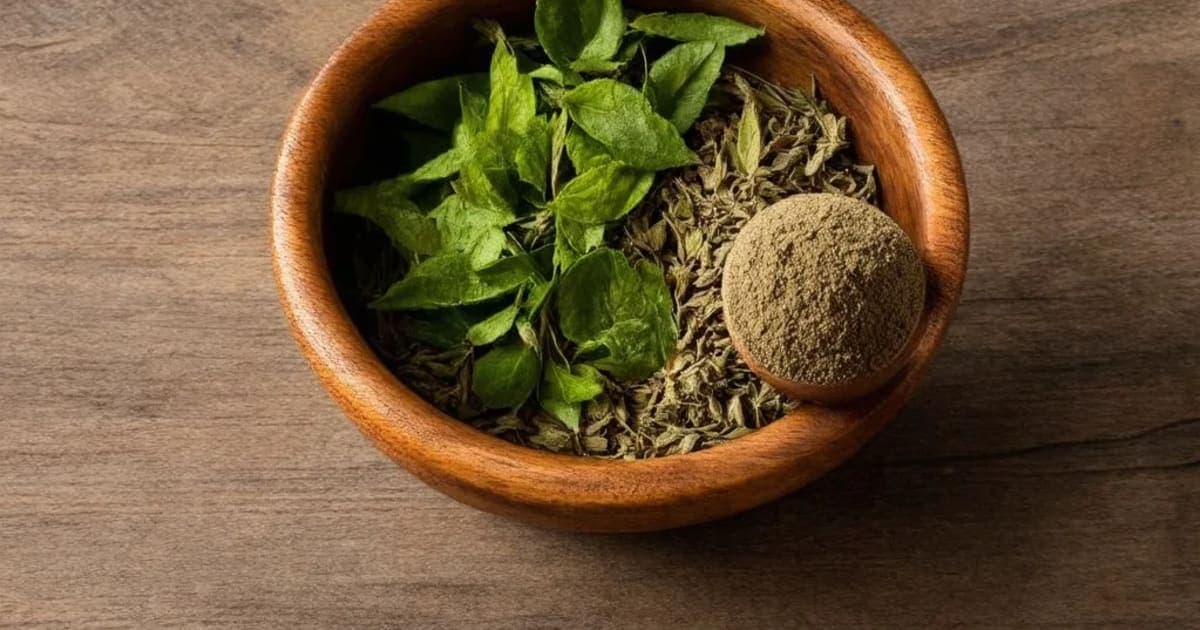 Parijata — Ayurvedic Herb