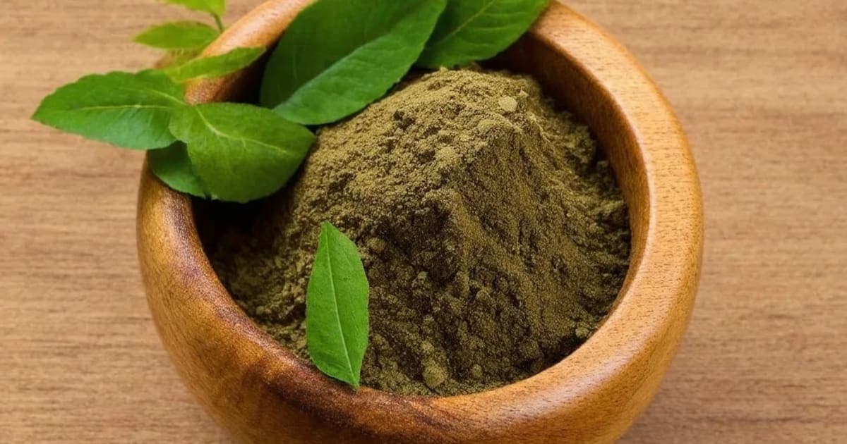 Takra (Buttermilk) — Ayurvedic Herb