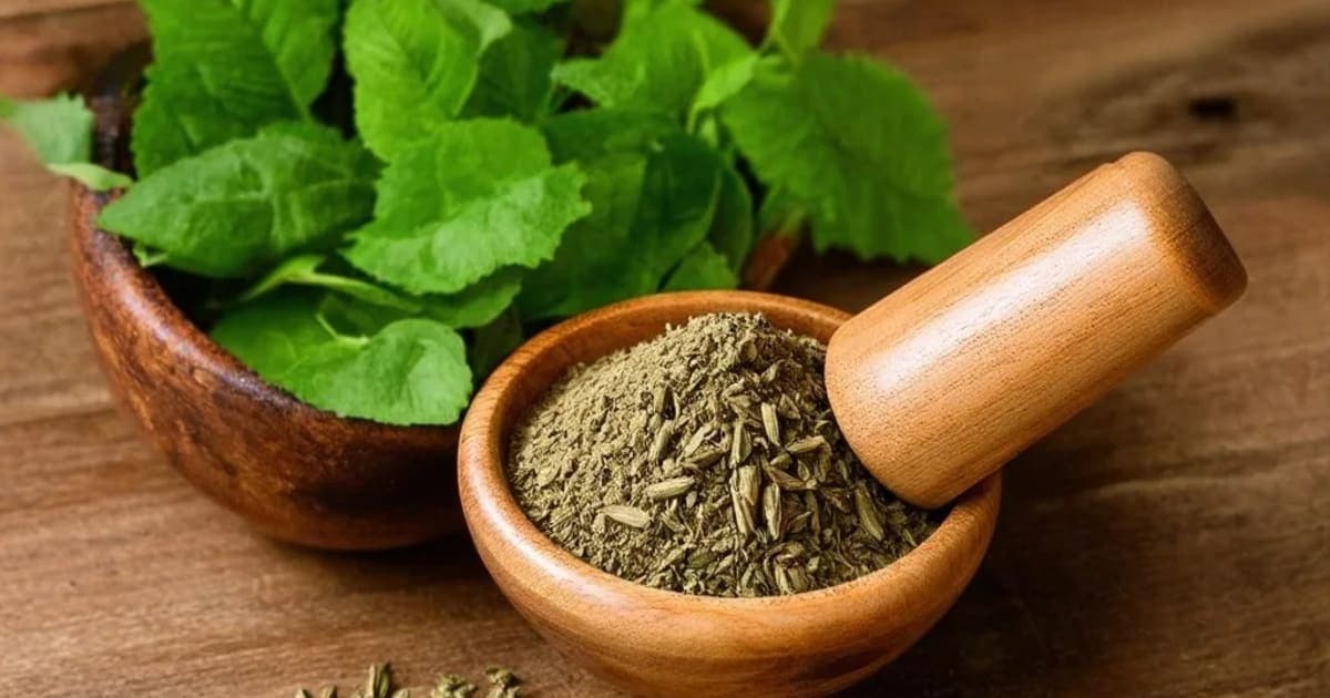 Ardraka Svarasa — Ayurvedic Herb