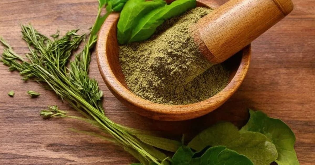 നാഗകേശരം — ആയുർവേദ ഔഷധം