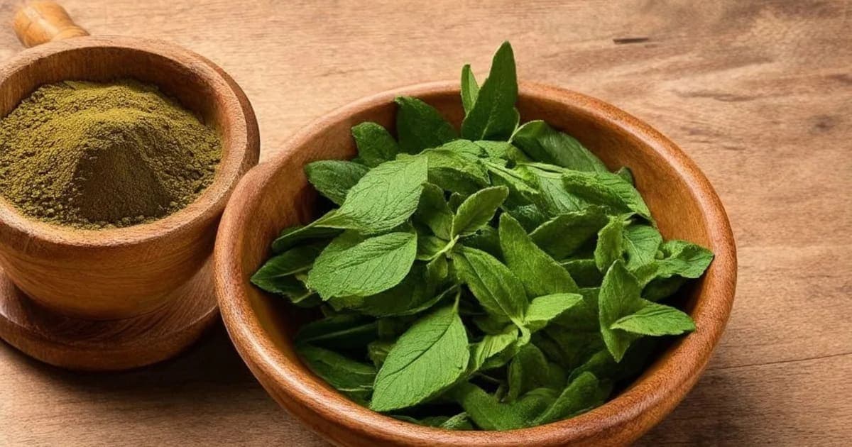 കുഷ്ഠം (സൗസുരിയ ലപ്പ) — ആയുർവേദ ഔഷധം