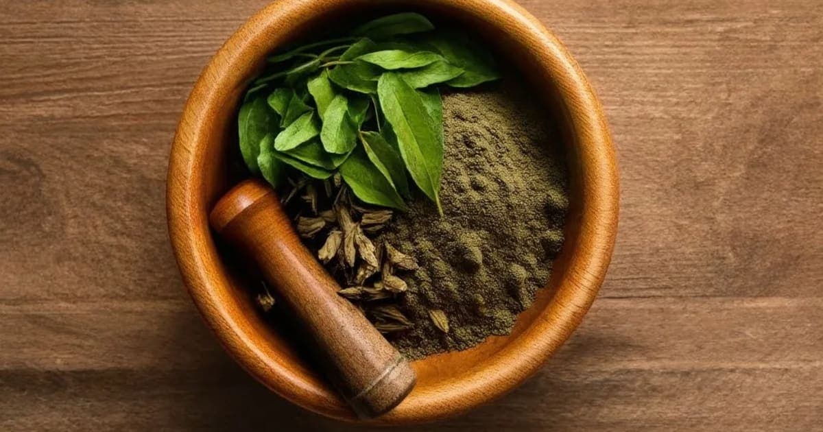 ಜೀವಕ — ಆಯುರ್ವೇದ ಮೂಲಿಕೆ