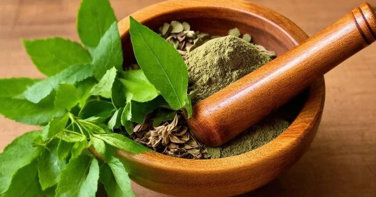 એરંડ પાક — આયુર્વેદિક જડીબુટ્ટી