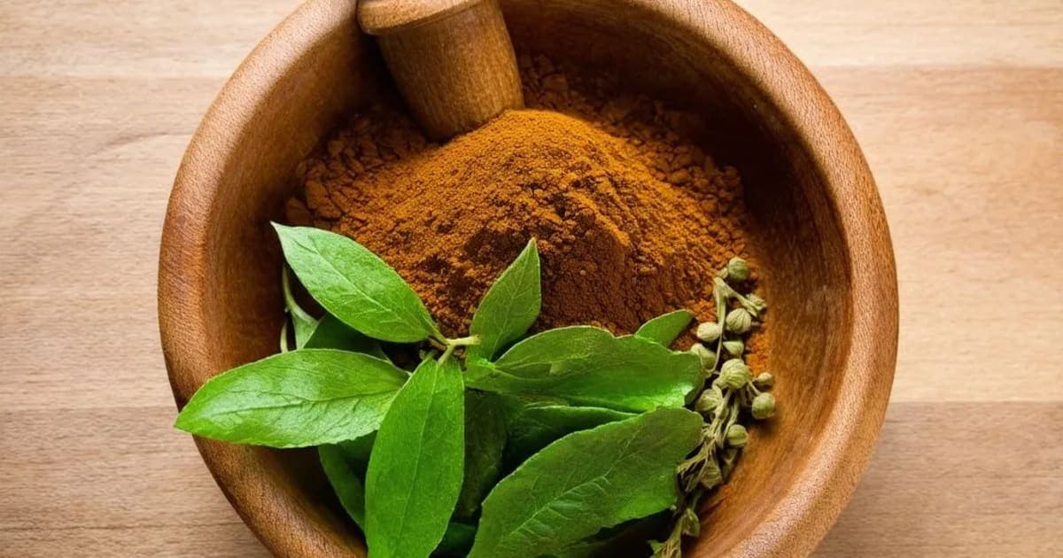 Tinduka — Ayurvedic Herb
