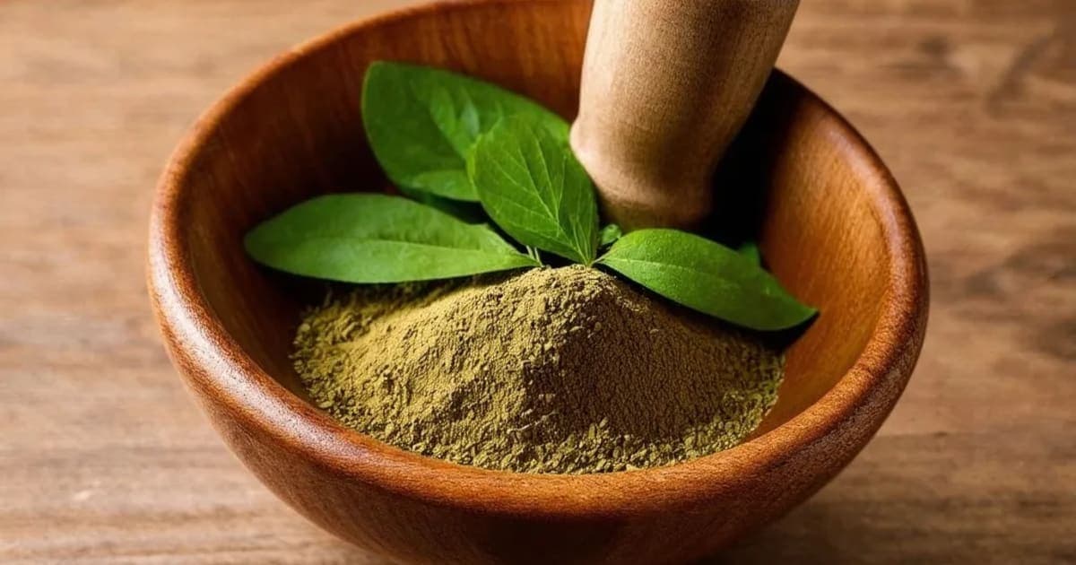 Adhaki (Pigeon Pea) — Ayurvedic Herb