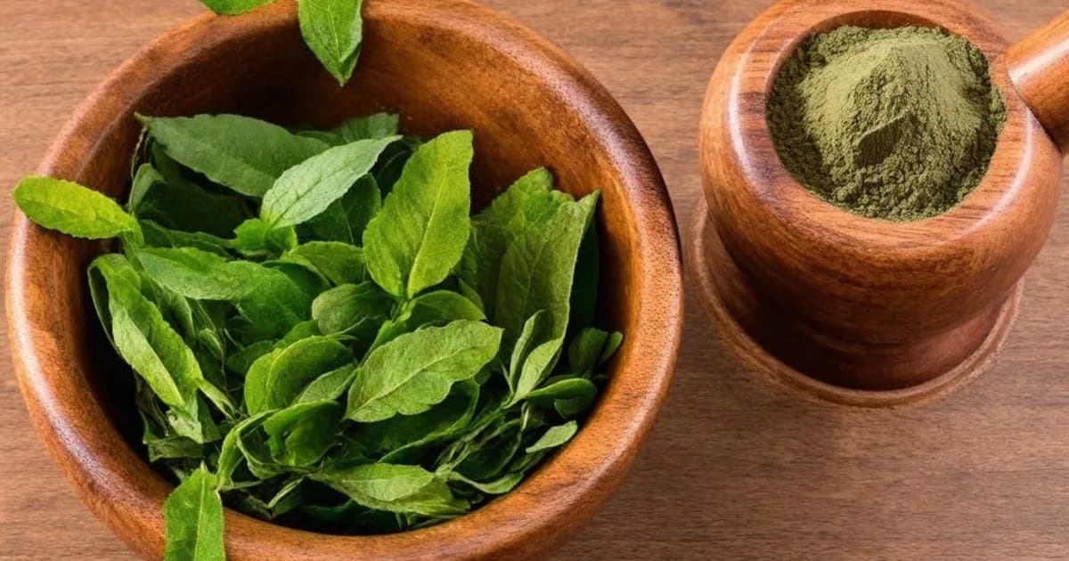 Amra Haridra — Ayurvedic Herb