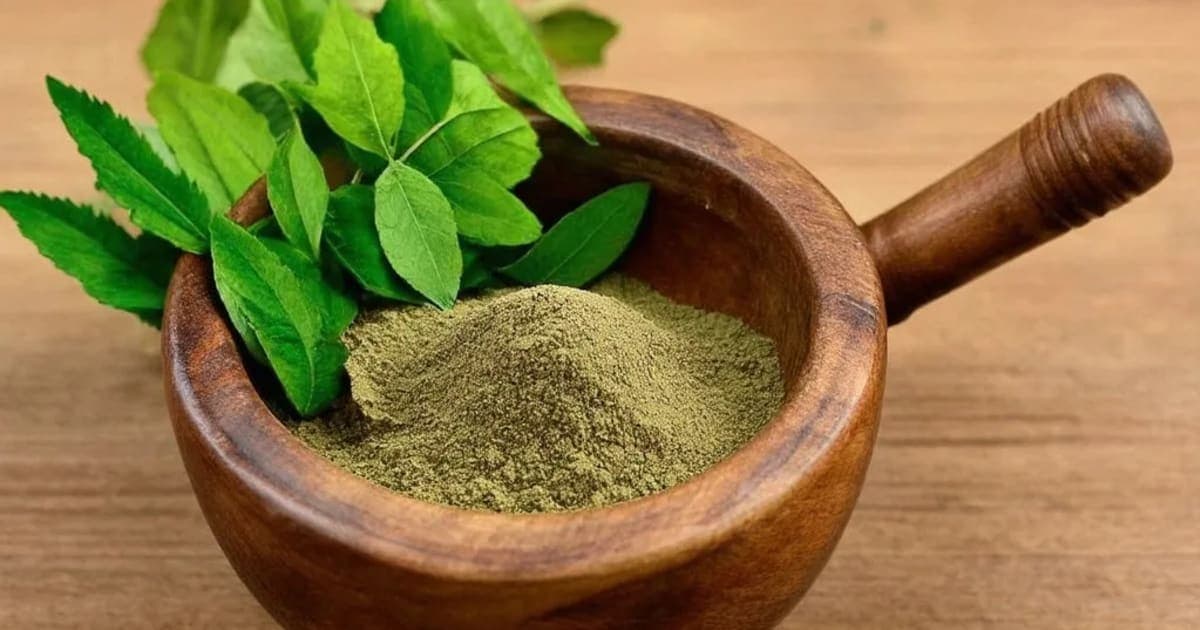 Chhatraka Mushroom — Ayurvedic Herb