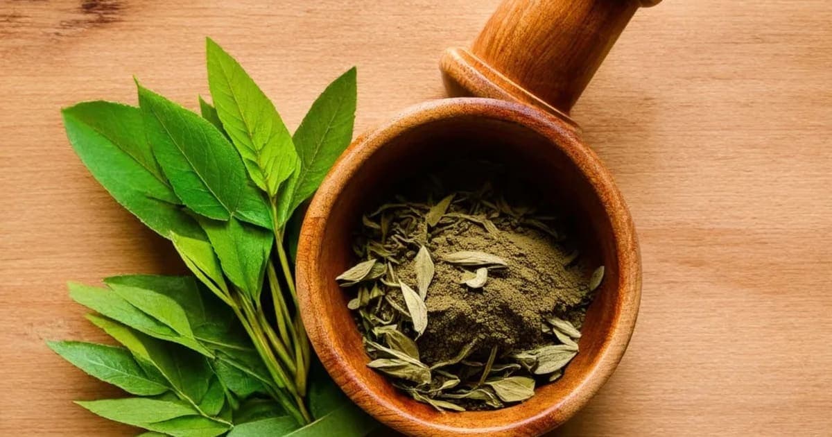 Sarpaksi — Ayurvedic Herb