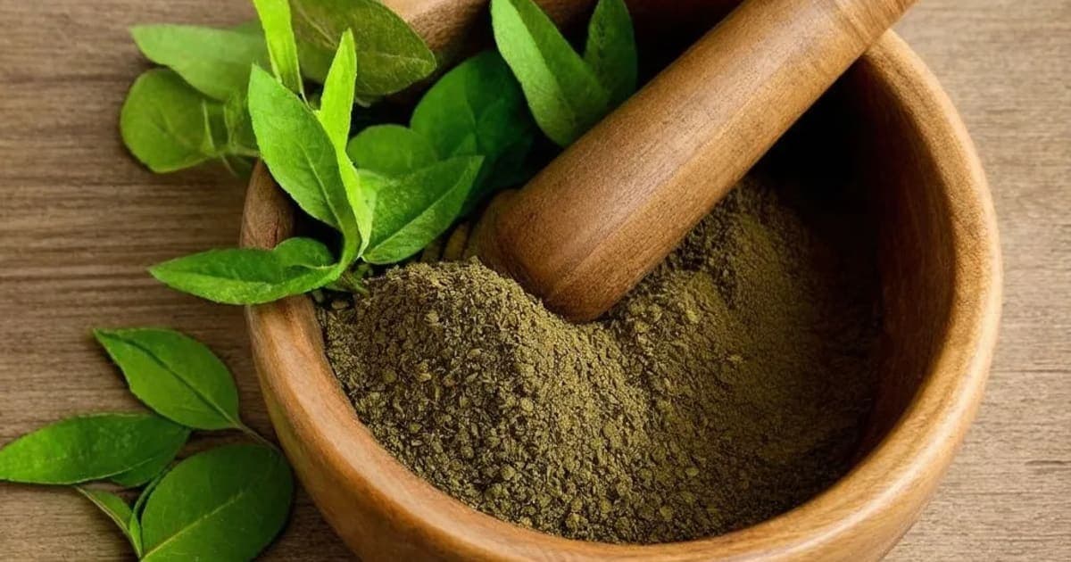Jalavetasa — Ayurvedic Herb