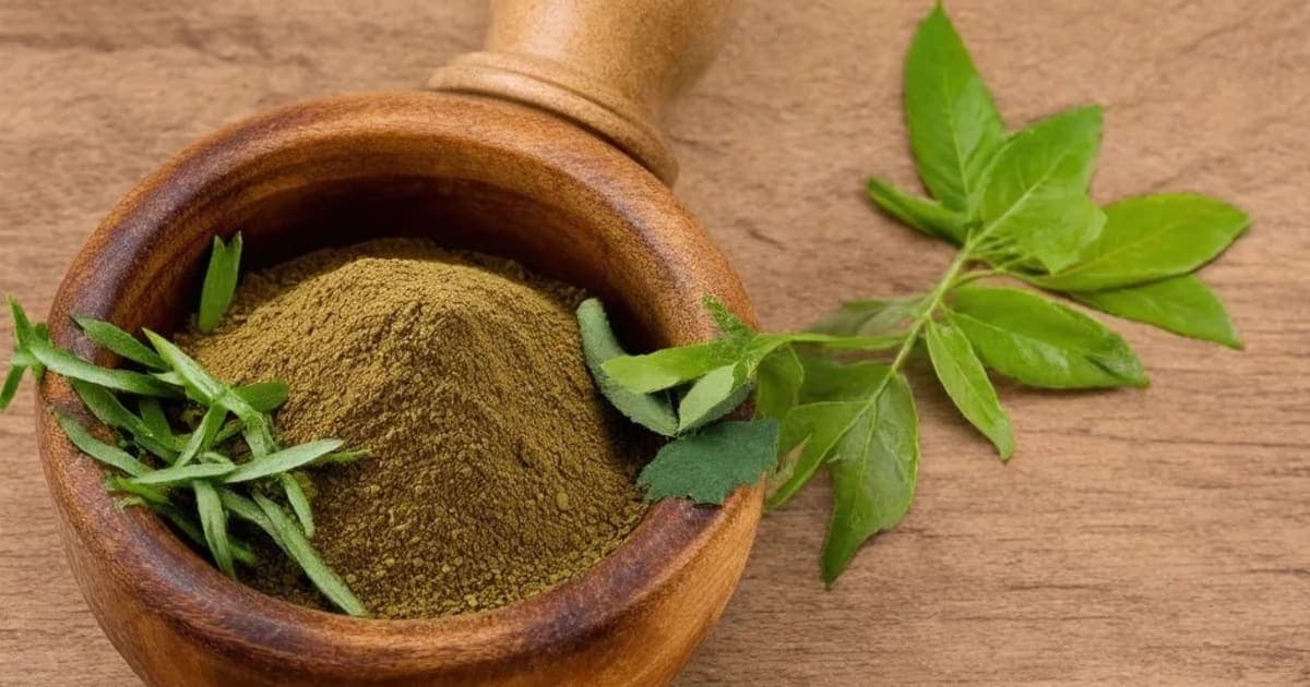 Narayana Thailam — Ayurvedic Herb