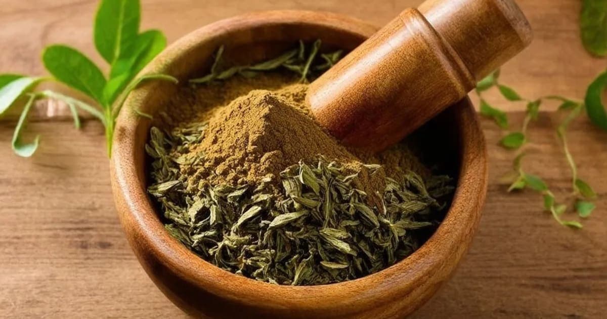 Vathada (Almond) — Ayurvedic Herb