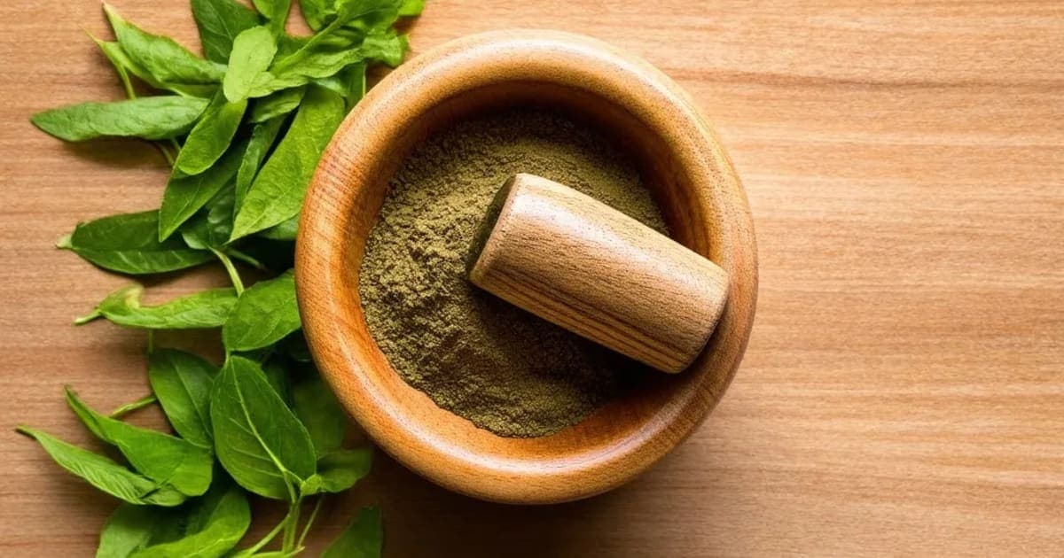 Hrivera — Ayurvedic Herb