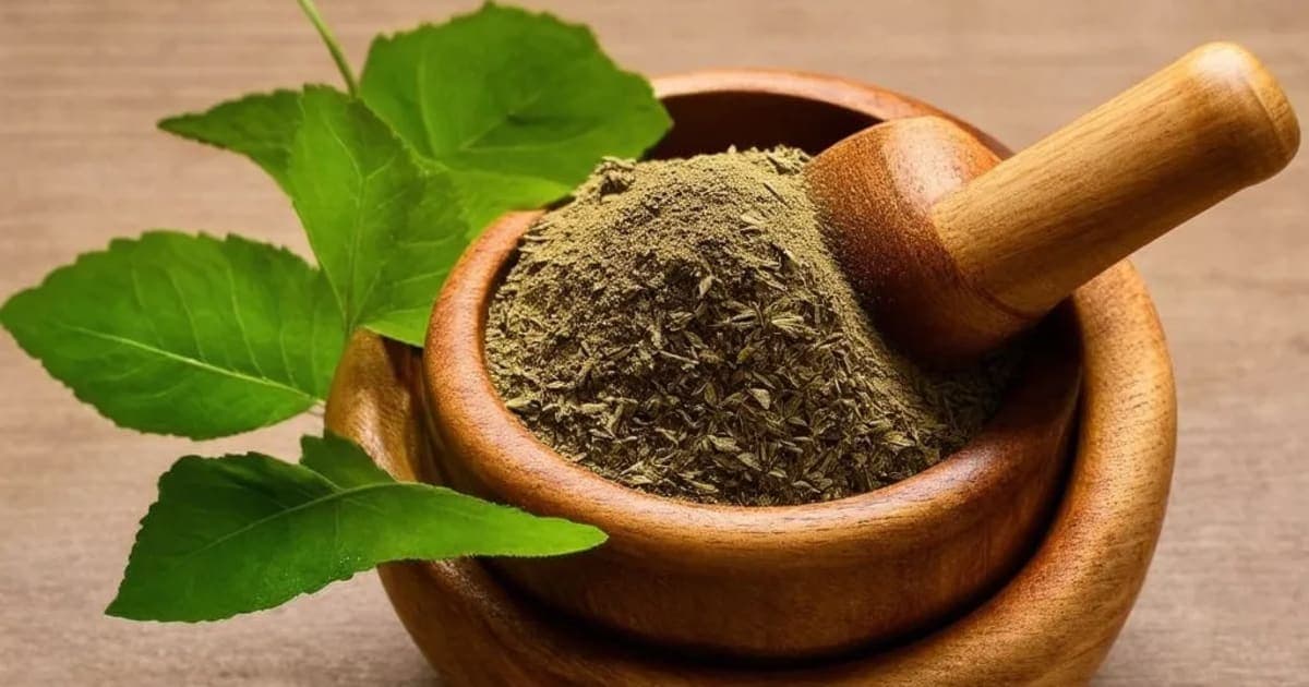 Grinjana (Carrot) — Ayurvedic Herb