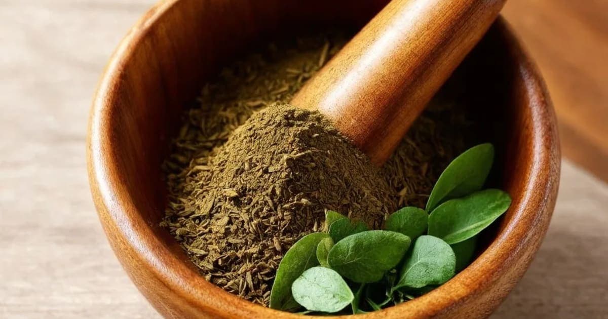 Arjuna Twak — Ayurvedic Herb