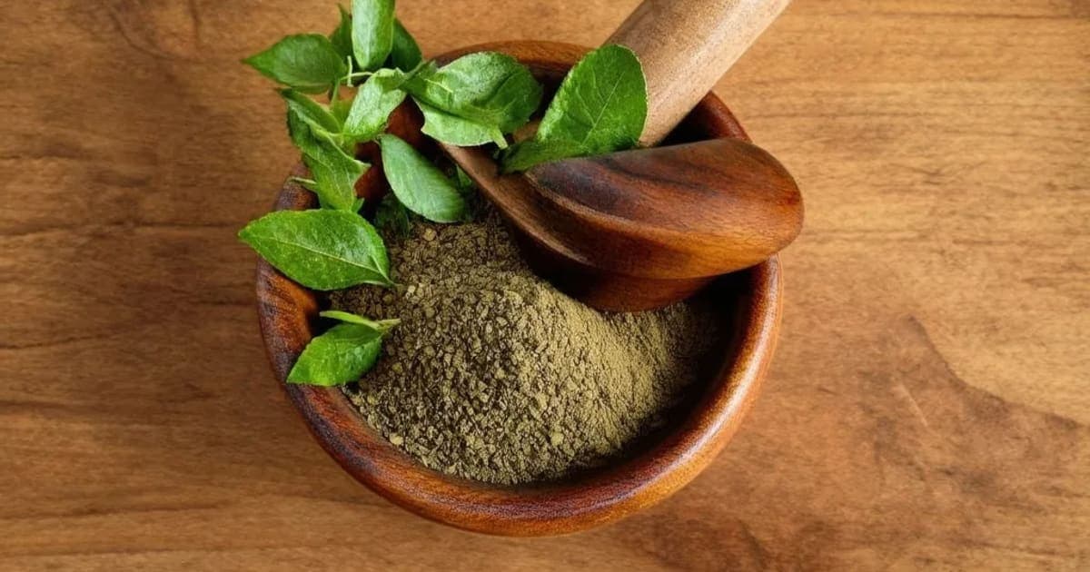 Satavari Ghrita — Ayurvedic Herb