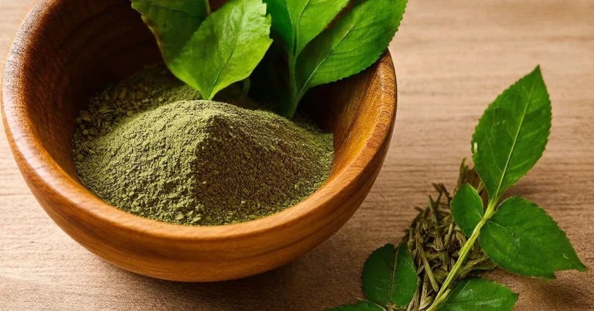 Triphaladi Thailam — Ayurvedic Herb