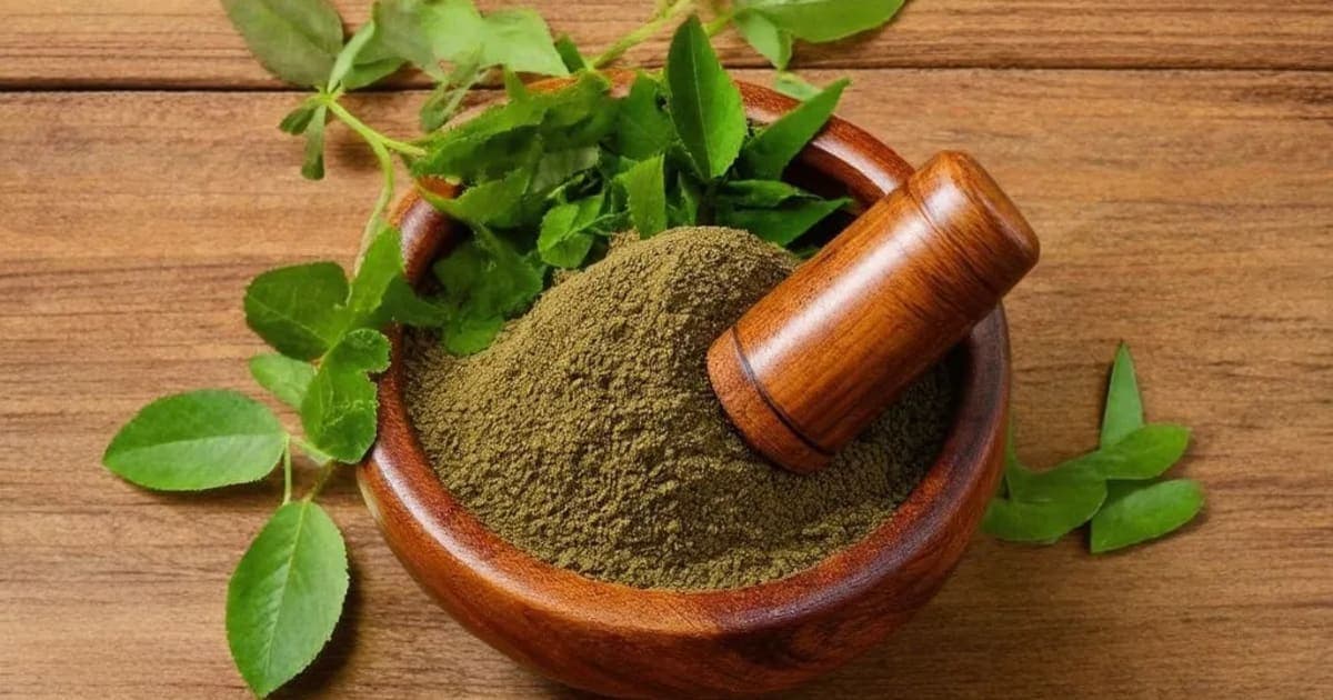 Mastu (Buttermilk) — Ayurvedic Herb