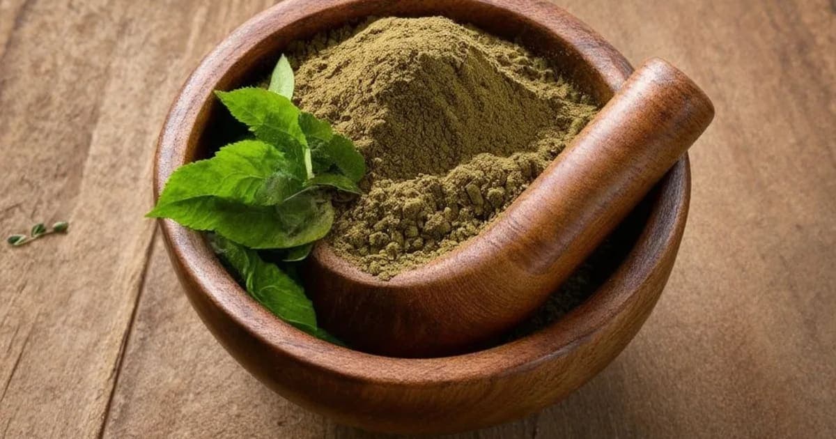 लोध्र — आयुर्वेदिक जड़ी-बूटी