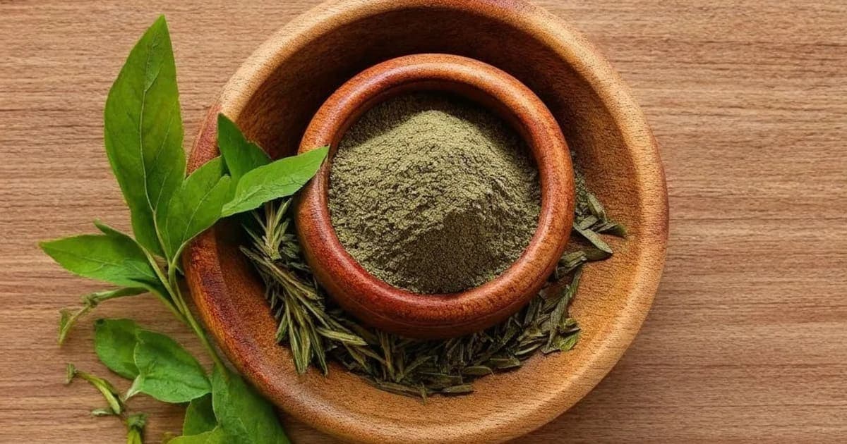 கிலோய் சத்வம் — ஆயுர்வேத மூலிகை