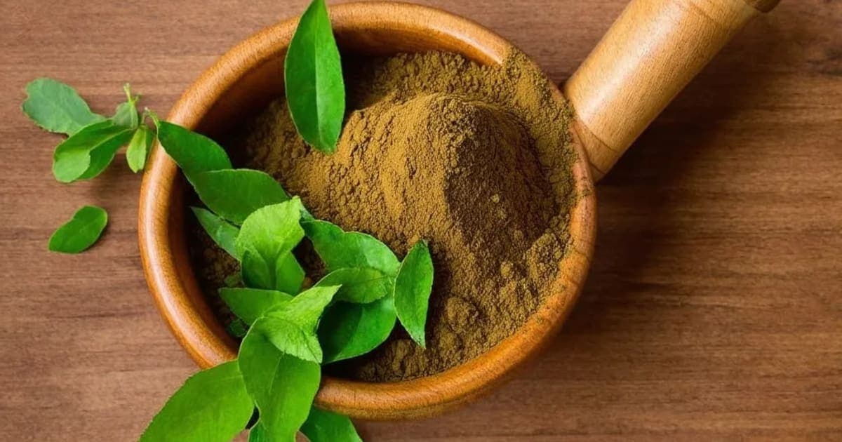 ਭੂਮੀਅਮਲਾਕੀ ਦੇ ਫਾਇਦੇ — ਆਯੁਰਵੈਦਿਕ ਜੜੀ-ਬੂਟੀ