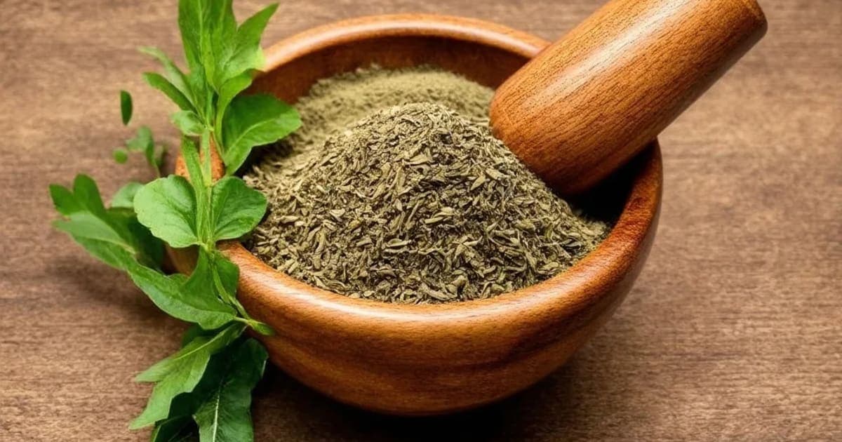 சப்தாமிருத லௌகம் — ஆயுர்வேத மூலிகை