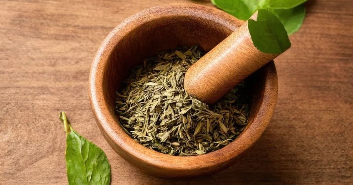 ક્ષાર પર્પટી — આયુર્વેદિક જડીબુટ્ટી