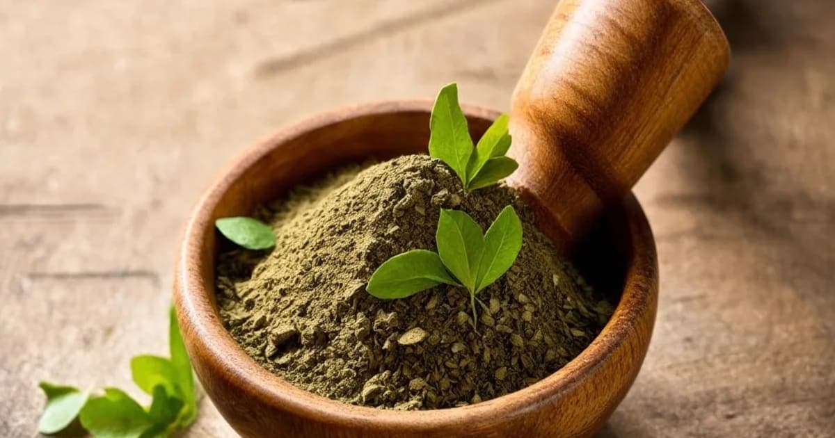 چِترک مول کے فائدے — آیورویدک جڑی بوٹی