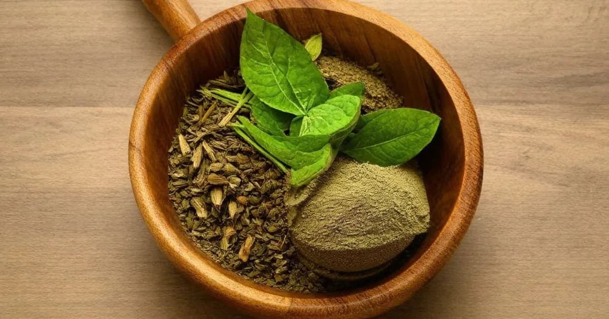 शिट्याचे फायदे, उपयोग आणि आयुर्वेदिक गुण — आयुर्वेदिक वनस्पती