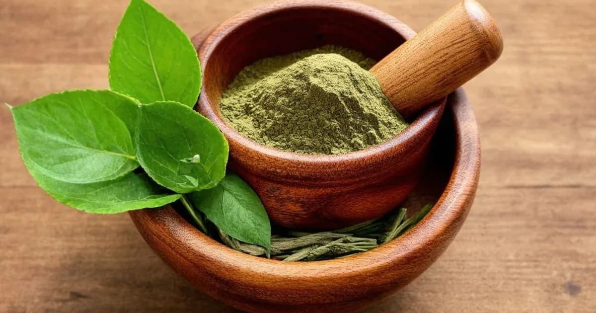 عقیق پشٹی کے فوائد، استعمال اور دل کی صحت کے لیے اثرات — آیورویدک جڑی بوٹی