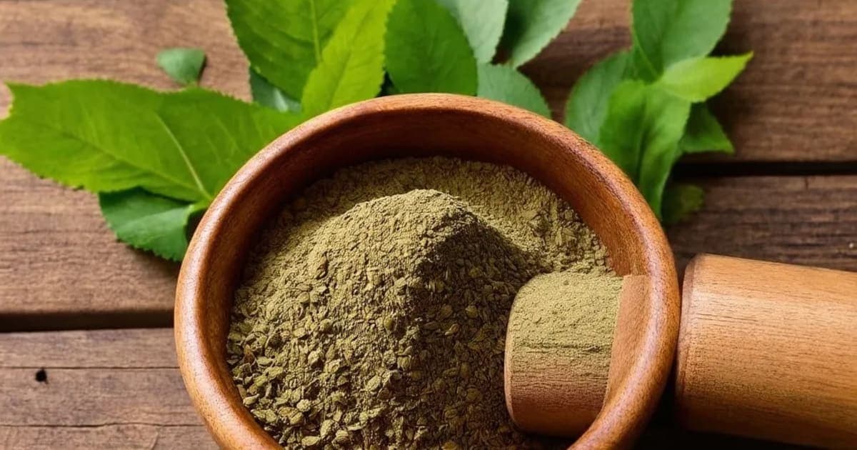 പത്തോലയിലയുടെ ഗുണങ്ങൾ — ആയുർവേദ ഔഷധം