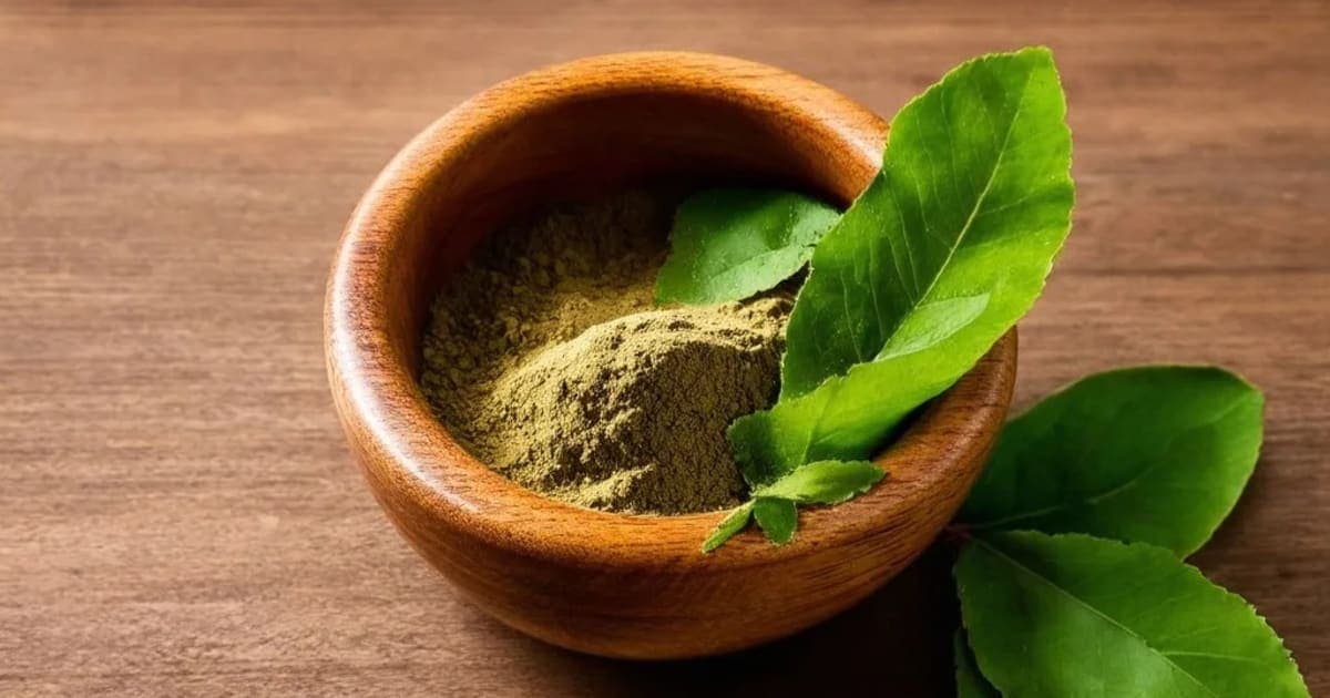 ಚಕ್ರಗಜ — ಆಯುರ್ವೇದ ಮೂಲಿಕೆ