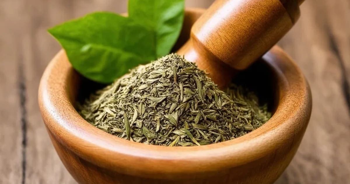 શાલ્મલી (મોચરસ) — આયુર્વેદિક જડીબુટ્ટી