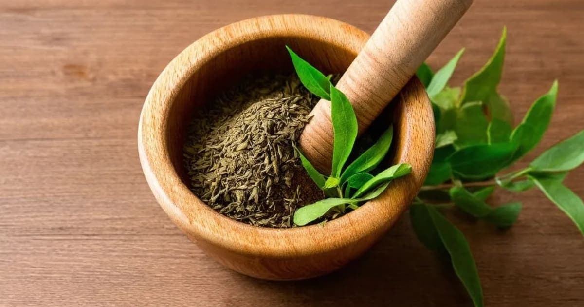 ইন্দুকণ্টম ঘৃত — আয়ুর্বেদিক ভেষজ