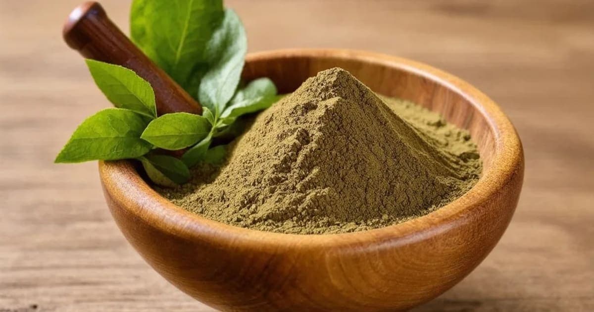 જાલવેતસ (Jalavetasa) — આયુર્વેદિક જડીબુટ્ટી