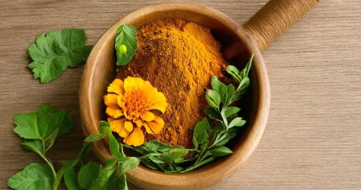 மரகோலி (Tagetes) பயன்கள் — ஆயுர்வேத மூலிகை