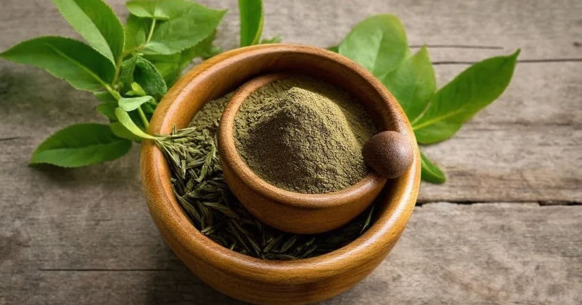 Akhuparni — आयुर्वेदिक जड़ी-बूटी