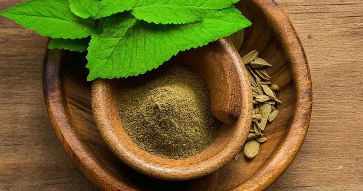 Dadrughna — आयुर्वेदिक जड़ी-बूटी