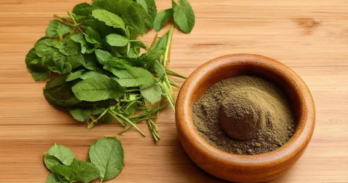 প্রদরান্তক লৌহ — আয়ুর্বেদিক ভেষজ