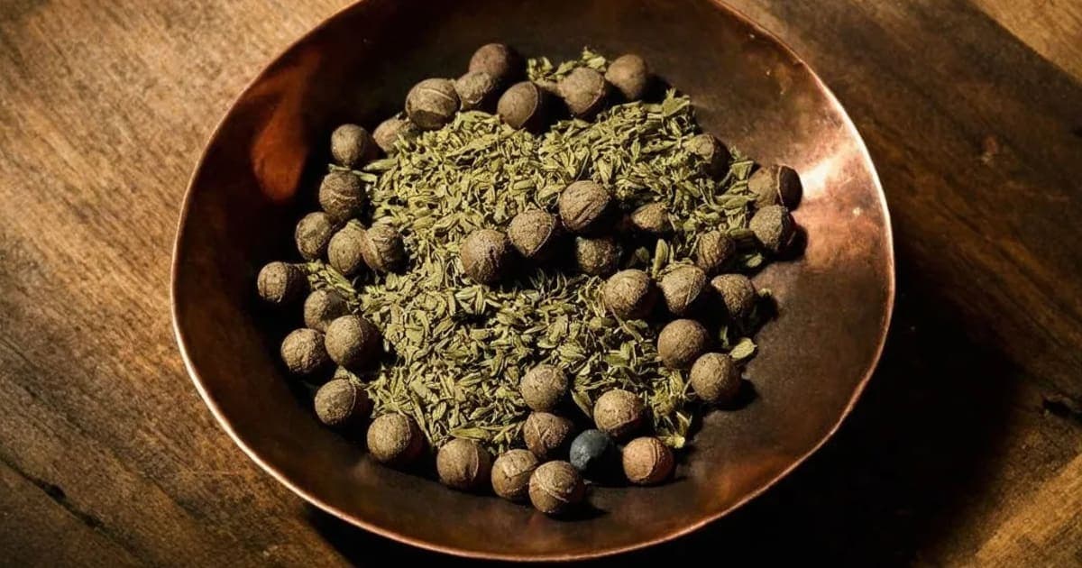 برہم رساینا — آیورویدک جڑی بوٹی